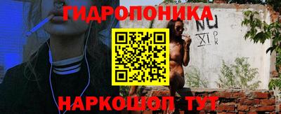 молекула духа Заводоуковск