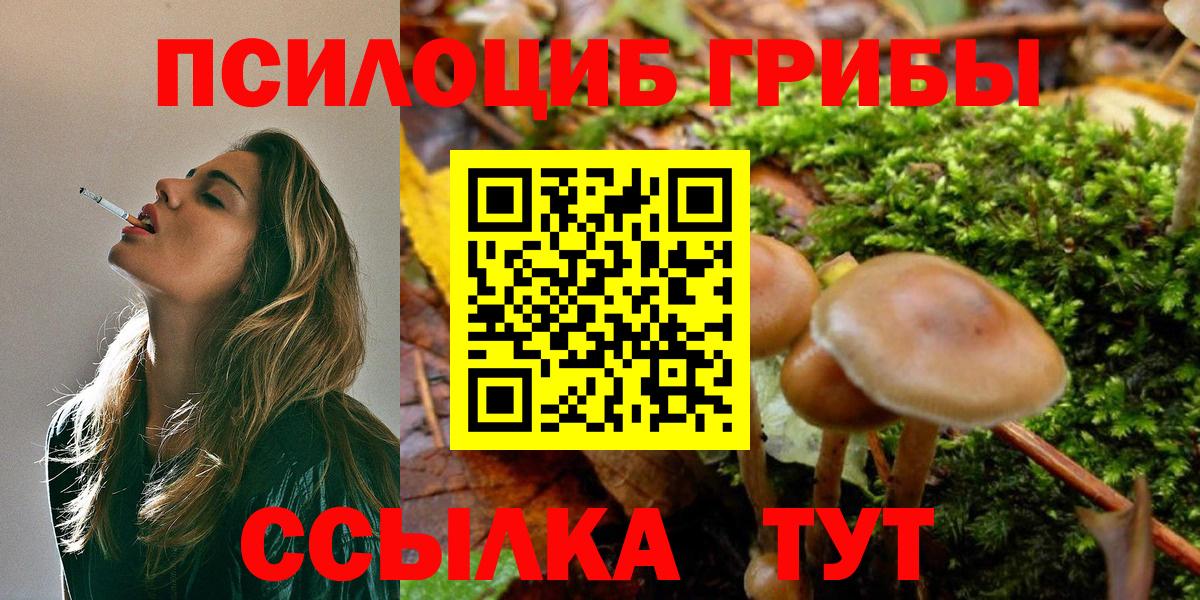 Псилоцибиновые грибы Cubensis Луховицы